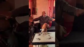 Почему фиксированный результат не равен партнёрству