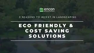 3 Reasons to Invest in Landscaping | Eco-Friendly & Cost Saving Solutions