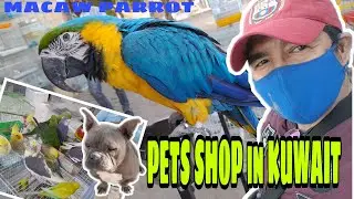 PETS SHOP IN KUWAIT