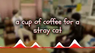 MilesNoobkk - a cup of coffee for a stray cat