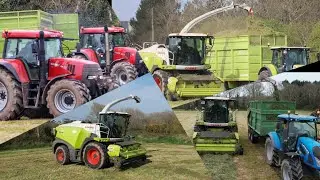 silage 23!  Kehoe farming
