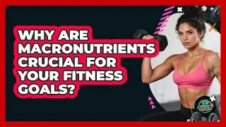 Why Are Macronutrients Crucial For Your Fitness Goals? - High Energy Training Hub