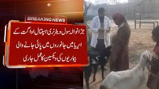 Vaccination of diseases found in animals the area of ​​Civil Veterinary HospitalAwagat is inprogress