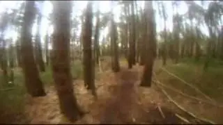 PANDA TRAIL