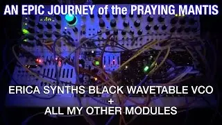 Erica Synths Black Wavetable VCO - An Epic Journey of the Praying Mantis