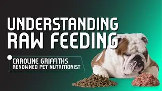 The Truth About Raw Feeding: Myths, Benefits, and Best Practices