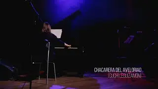Chacarera del zorrito/Chacarera del aveloriao//LILIAN SABA