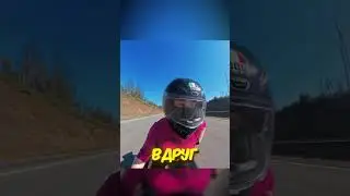 Эта Байкерша просто очумела от поступка своего спутника! 🤯🏍️
