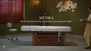 Esthetica Mudra Electric Spa Table