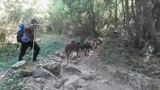 Ανάβαση στον Άθως από Μοναστήρι Αγίας Άννας. 