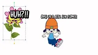 Sunny funny becomes a actual sunny flower