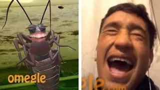 barata frita #2