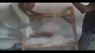 Plastic chips sorting machine.natural pp chips Sorter(1)