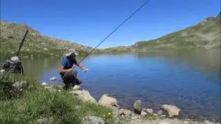 peche bombette