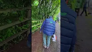 Overgrown Shrubs Trimmed | Fence Line Cleared