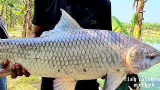 ১৫ কেজি ওজনের রুই কেমনে ধরলো দেখুন | 15 Kg Ruhu Fish Catching