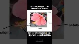 medicos can relate it..#biology #biologyclass12 #cheatsheet #neetug #reels