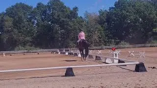 ABBA Dressage Musical Freestyle | 2024 | Royal Dhream