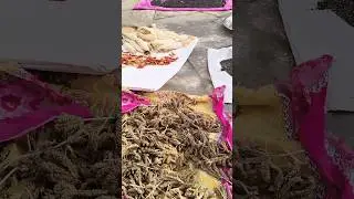 pahadi madwa #viralvideo #nature #patadi