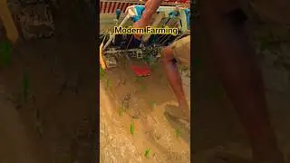 modern rice farming with machines and technology #shorts
