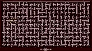 Maze Puzzle Challenge with Animated Multi Paths | Difficulty Level 8 | Maze Game No. #115
