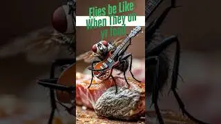 How Flies be Like, When They on your Food #cartoon #animation #food #fly