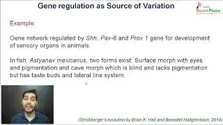 Variation: Raw Material for Evolution-II