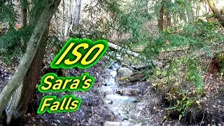 In Search of Sara's Falls