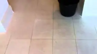 Limestone floor restoration