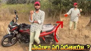పాములు నిజంగానే పగపడతాయా ?!.. Indian spectacle venomous cobra snake rescue my contact ☎️ 8179086040