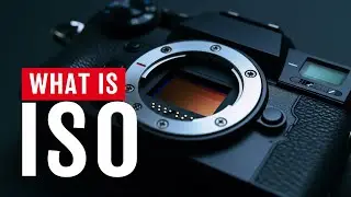 Understanding ISO in Photography for Beginners