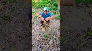 দাদা ছোটু কে এটা কি দিলো 😱#shorts#trending#funny#video