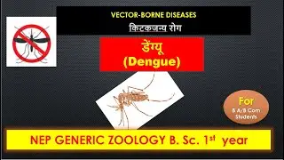 डेंग्यू | Dengue | Generic Zoology