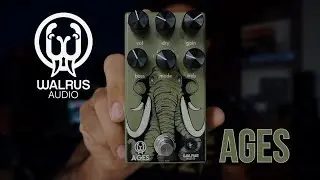 DRIVE FOR AGES - WALRUS AGES FIVE