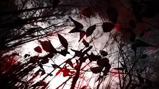 Daydream Apocalypse