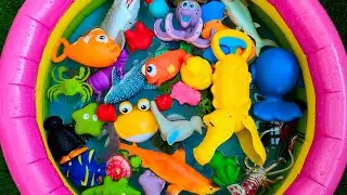 Learn Sea Animals for Kids | Exciting Ocean Discovery & Educational Playtime for Toddlers!