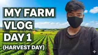 ☘️MY FARM VLOG #kanusisodiya #dailyvideo #kanuvlogs #vlog #dailyvideoblog #farming #vloging 