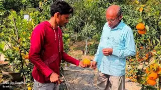 Maa Annapurna nursery theke anukul modok daa  @baidyanursery