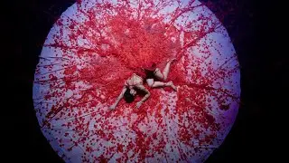 무용 영화 Entangled Body 얽힌몸 Trailer