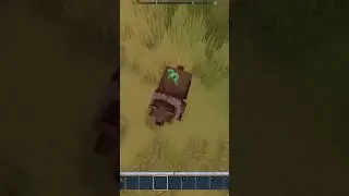 Tych rzeczy nie wiedziałeś o Hytale 🤯#hytale