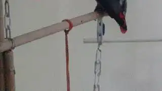 ÖZÜR DİLİYORUM ÇAKIL KADRAJDAN ÇIKMIŞ FARKETMEMİŞİM