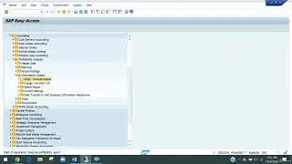 COPA Report Painter Reports #sapficotutorialforbegginers #sap #costing #sapco #KE30REPORT