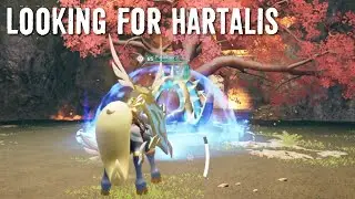 Looking for Hartalis!