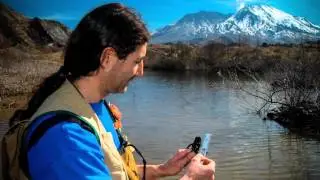 Connect with Your Pacific Northwest Forest Service