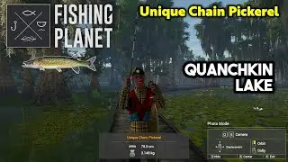 Unique Chain Pickerel Quanchkin Lake - Fishing Planet