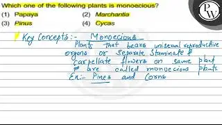 Which one of the following plants is monoecious? (1) Papaya (2) Mar...