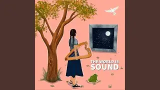 A Frog's Dream to Fly