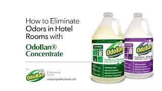 How to Eliminate Odors in Hotel Rooms with OdoBan&reg; Concentrate