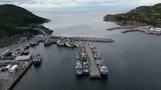 NFLD Cinematic Drone 4k By Derrick Sturge