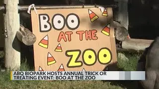 Families celebrate Halloween at Boo at the Zoo at the ABQ BioPark